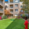 dog park in a courtyard with a red fire hydrant